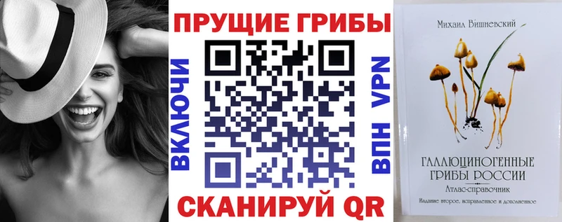 blacksprut сайт  Лермонтов  Псилоцибиновые грибы Psilocybe 